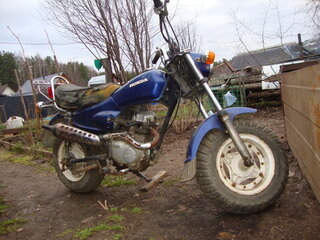 Honda Ape 50