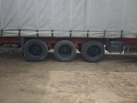 2004 Schmitz Cargobull S01, серый, 900000 рублей, вид 2