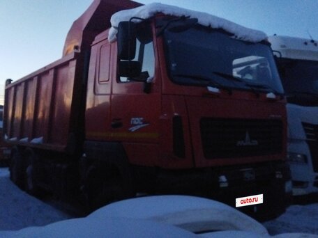 2020 МАЗ 6501, красный, 2350000 рублей, вид 1