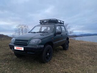 2004 Chevrolet Niva I, зелёный, 550000 рублей, вид 2