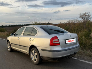 2004 Skoda Octavia II (A5), серый, 530000 рублей, вид 4