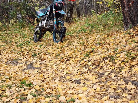 2022 Regulmoto Seven Medalist 150E, жёлтый, 75000 рублей, вид 5