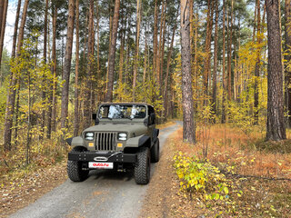 1993 Jeep Wrangler I (YJ), зелёный, 4250000 рублей, вид 3