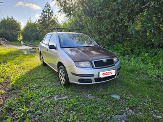 2007 Skoda Fabia I Рестайлинг, серый, 140000 рублей, вид 1