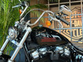 2024 Harley-Davidson Softail Standard, чёрный, 1990000 рублей - вид 3