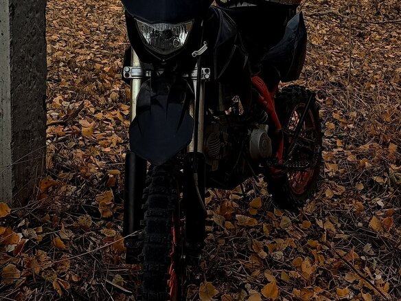 2023 Kayo Evolution YX140EM, чёрный, 80000 рублей