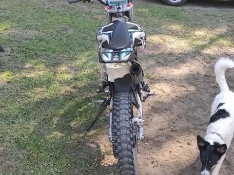 2020 Kayo T2 250 MX, синий, 120000 рублей, вид 5
