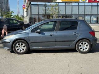 2006 Peugeot 307 I Рестайлинг, серый, 385000 рублей, вид 4