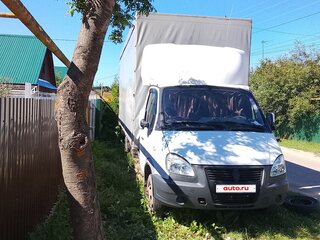 2004 ГАЗ ГАЗель (3302), белый, 650000 рублей, вид 3