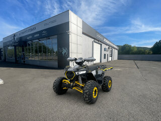 2026 Другие Мотовездеходы (другие), серый, 119900 рублей, вид 1
