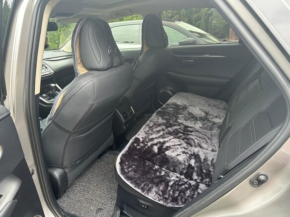2019 Lexus NX 300h I Рестайлинг, серебристый, 3800000 рублей - вид 19