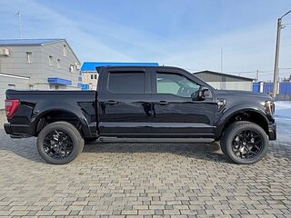 2021 Ford F-150 SuperCrew XIV, чёрный, 15000000 рублей, вид 1
