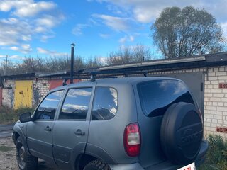 2007 Chevrolet Niva I, серый, 370000 рублей, вид 5