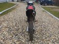 2010 Pitster Pro LX5 160, чёрный, 50000 рублей - вид 4