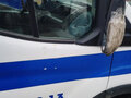2017 Ford Transit, белый, 1500000 рублей - вид 11