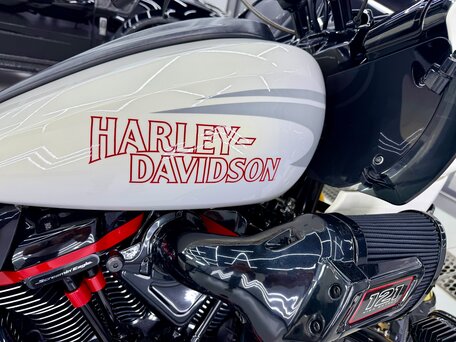 2024 Harley-Davidson CVO Road Glide ST, белый, 6355000 рублей, вид 3