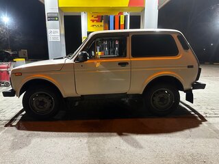 1996 Lada (ВАЗ) 2121 (4x4) I Рестайлинг, бежевый, 320000 рублей, вид 5