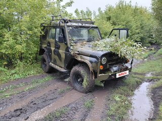 1989 УАЗ 3151, зелёный, 250000 рублей, вид 1