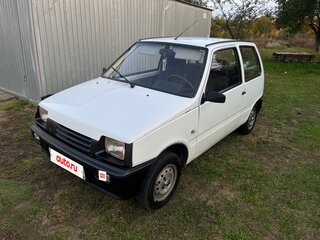 2004 Lada (ВАЗ) 1111 Ока КамАЗ, белый, 155000 рублей, вид 1