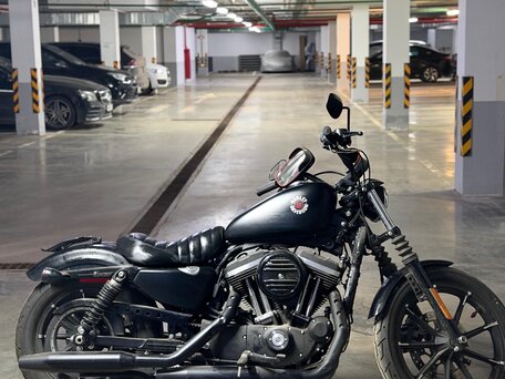 2020 Harley-Davidson Sportster 883, чёрный, 950000 рублей, вид 1