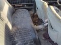1973 Lada (ВАЗ) 2101, зелёный, 35000 рублей - вид 4