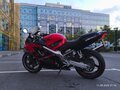 2003 Honda CBR 600F, чёрный, 303000 рублей - вид 8