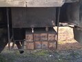 1989 Ивановец КС-3577, синий, 800000 рублей - вид 6