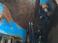 1995 Volvo FH, белый, 800000 рублей - вид 8