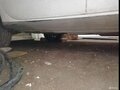 1993 Mitsubishi Galant VII, белый, 130000 рублей - вид 3