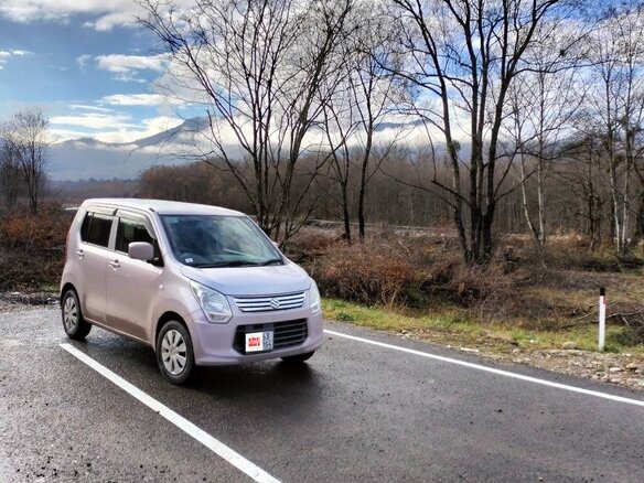 2012 Suzuki Wagon R V, розовый, 640000 рублей - вид 2