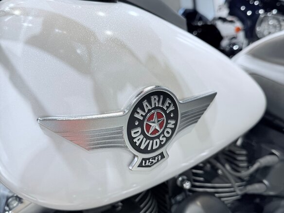 2011 Harley-Davidson Fat Boy, белый, 1399000 рублей - вид 18