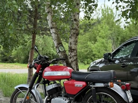 1984 Jawa 350/634, красный, 315000 рублей, вид 1
