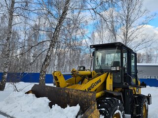 2006 LiuGong CLG 835, 1750000 рублей, вид 2