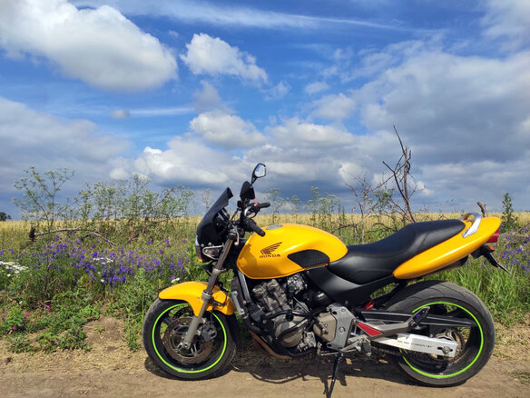 2000 Honda CB 600F Hornet, жёлтый, 339000 рублей - вид 19