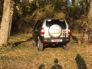 2012 Chevrolet Niva I Рестайлинг, серый, 690000 рублей, вид 4