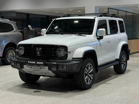 Tank 300 I
