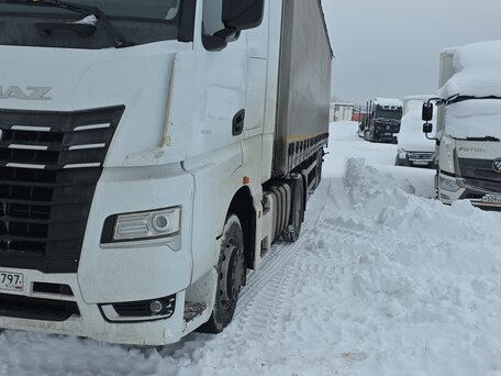 2023 КамАЗ 54902, белый, 3717000 рублей, вид 3