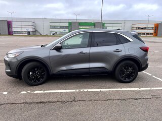 2023 Ford Escape IV Рестайлинг, серый, 1720000 рублей, вид 4