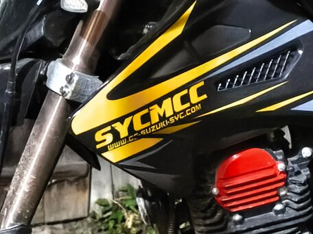 2025 Sycmmc 300, жёлтый, 95000 рублей, вид 2