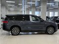 2025 Denza N9 46.9 kWh, серый, 8700000 рублей - вид 3