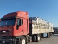 2000 Iveco EuroStar, красный, 1250000 рублей - вид 8