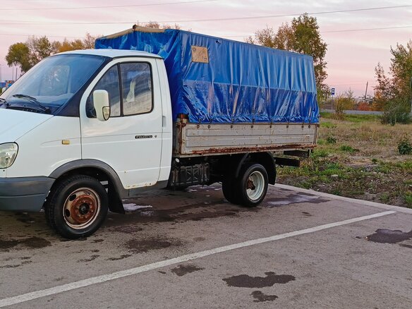 2004 ГАЗ ГАЗель (3302), белый, 330000 рублей - вид 1