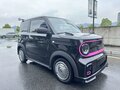 2024 Geely Panda Mini I, чёрный, 791000 рублей - вид 2