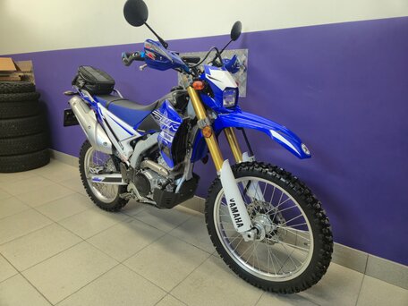 2020 Yamaha WR250R, синий, 840000 рублей, вид 4