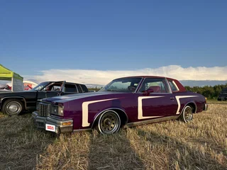 1980 Pontiac Grand Prix IV, пурпурный, 1050000 рублей, вид 2