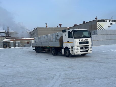 2018 КамАЗ 5490, белый, 2550000 рублей, вид 2
