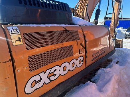 2021 Case CE CX300, жёлтый, 7565000 рублей, вид 2