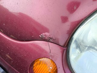 2007 Daewoo Matiz I Рестайлинг, пурпурный, 180000 рублей, вид 2