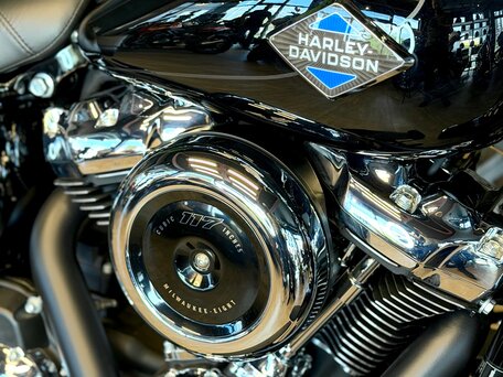 2025 Harley-Davidson Heritage, чёрный, 3850000 рублей, вид 2