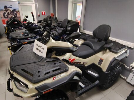 2026 Loncin XWolf 1000, бежевый, 1164000 рублей, вид 5